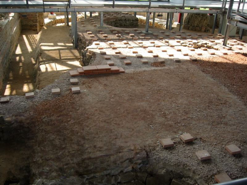 shared_image.png shared_image.png